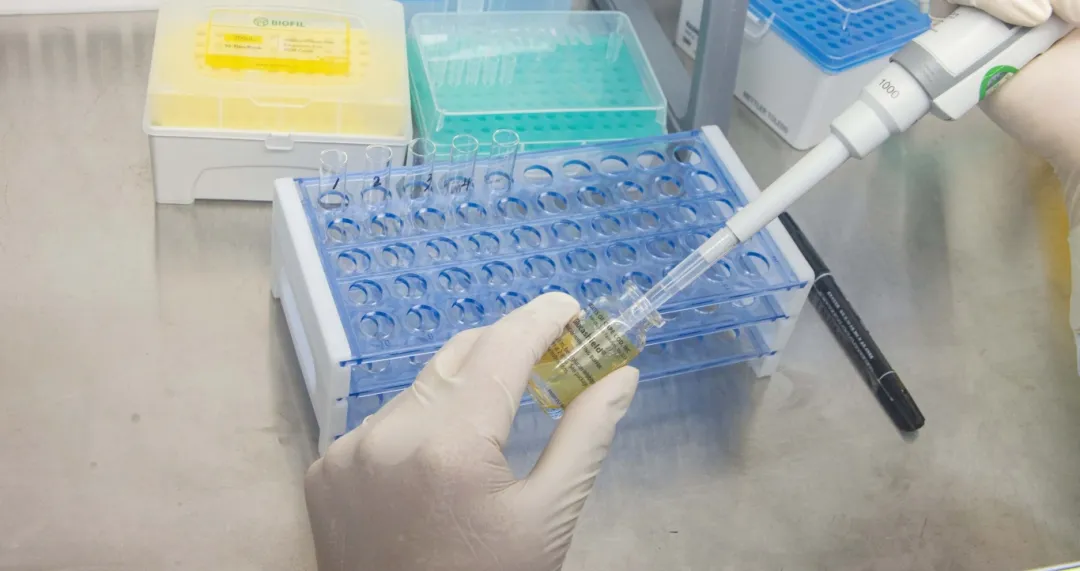 科德角国际丨:专业细菌内毒素检测解决方案提供商,捍卫药品安全品质