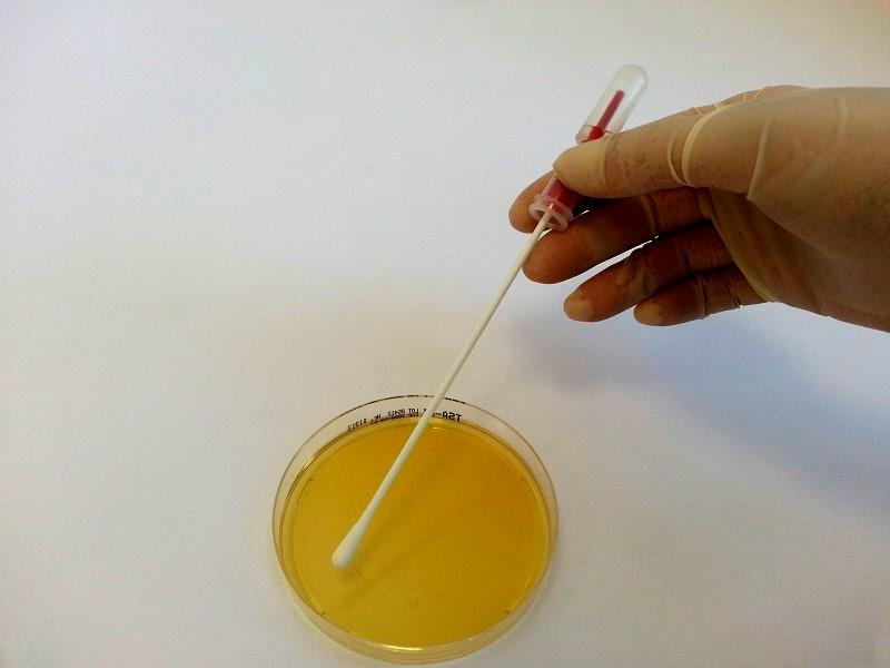 MicroSwab