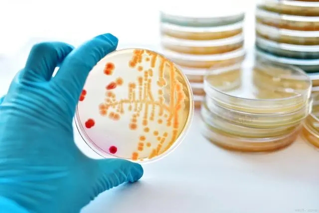 生物指示剂
