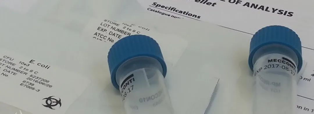 ATCC-定量菌株