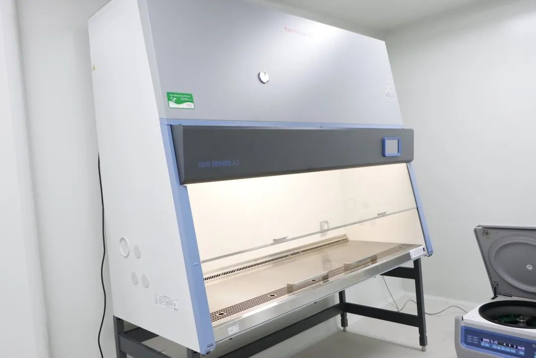 Thermo Fisher 1589-A II级A2生物安全柜