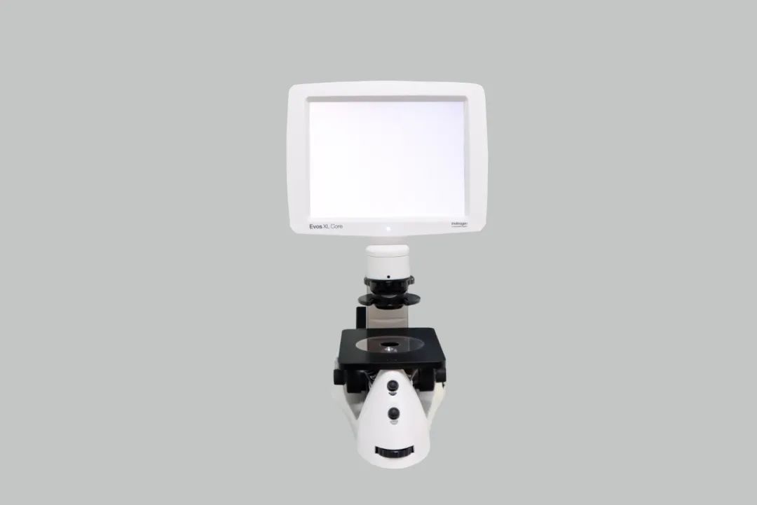 Thermo Fisher EVOS XL CORE倒置显微镜