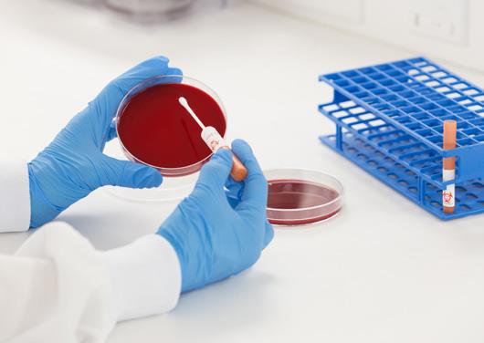 生物指示剂