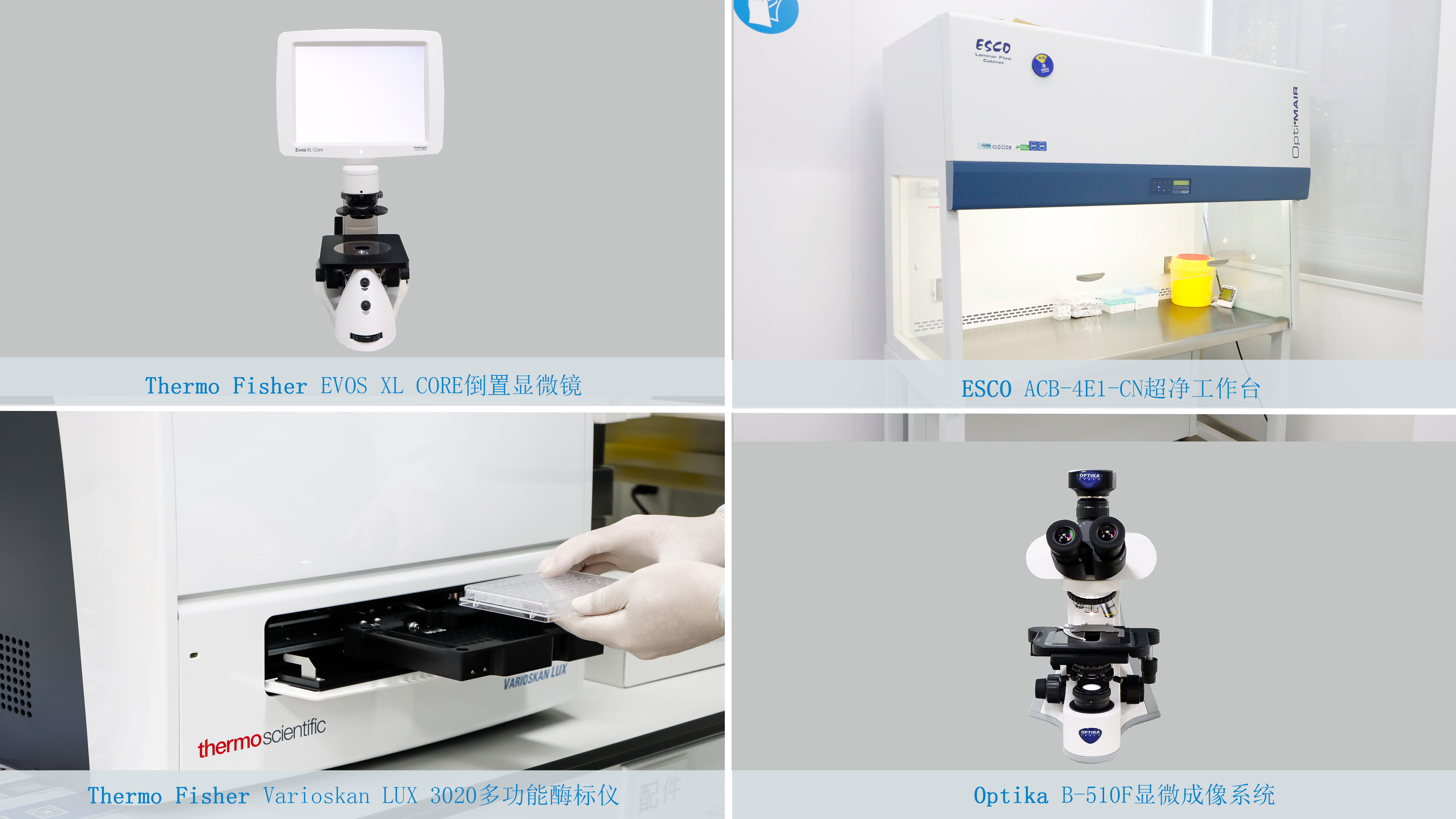 CRO研发实验室设备 