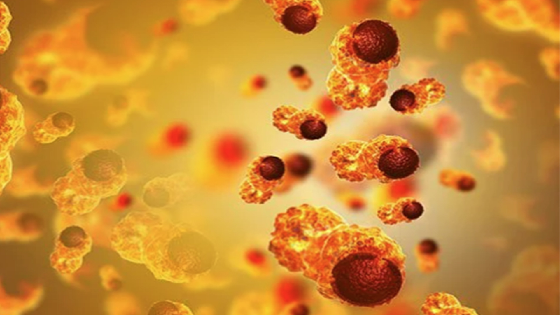 细菌内毒素:结构与生物学活性的双重探索 细菌内毒素:结构与生物学活性的双重探索