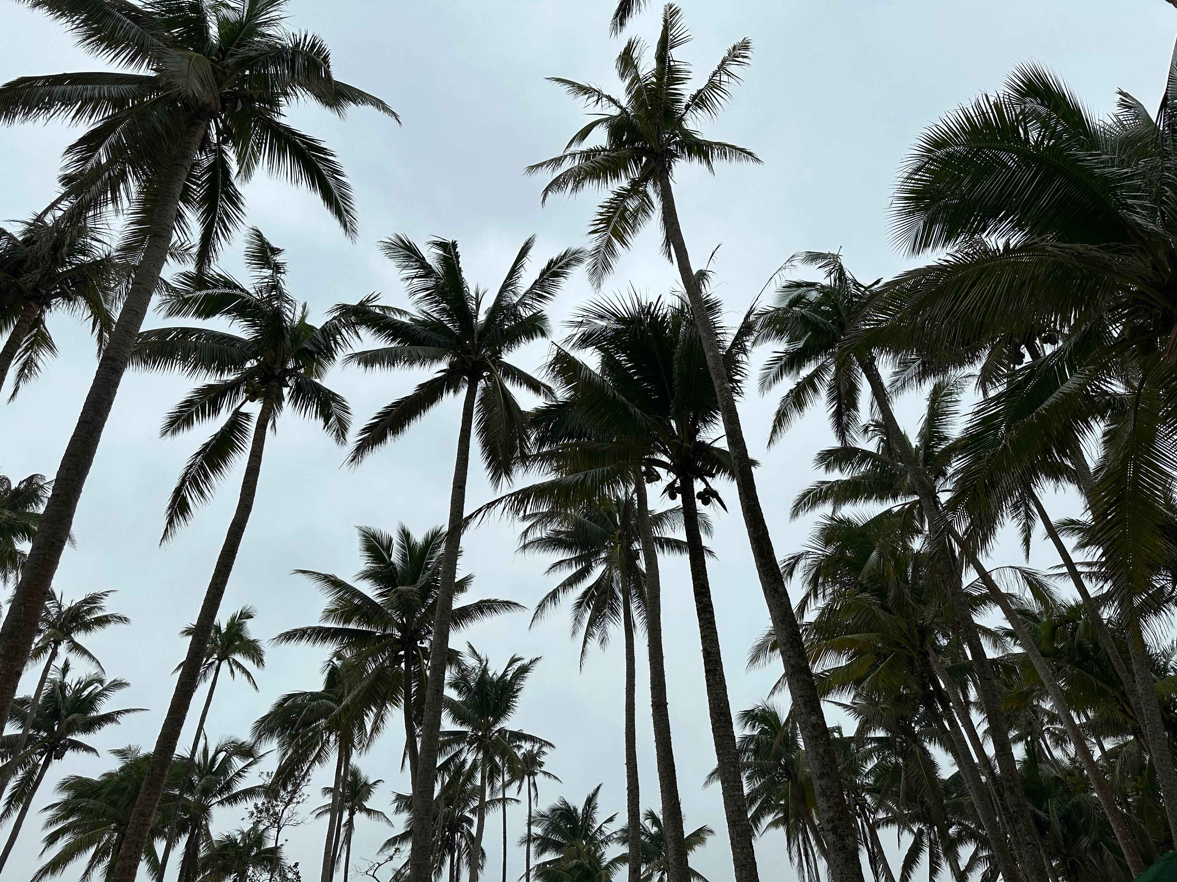 同心同行,共创未来丨科德角国际海南团建之旅圆满完成! 同心同行,共创未来丨科德角国际海南团建之旅圆满完成!