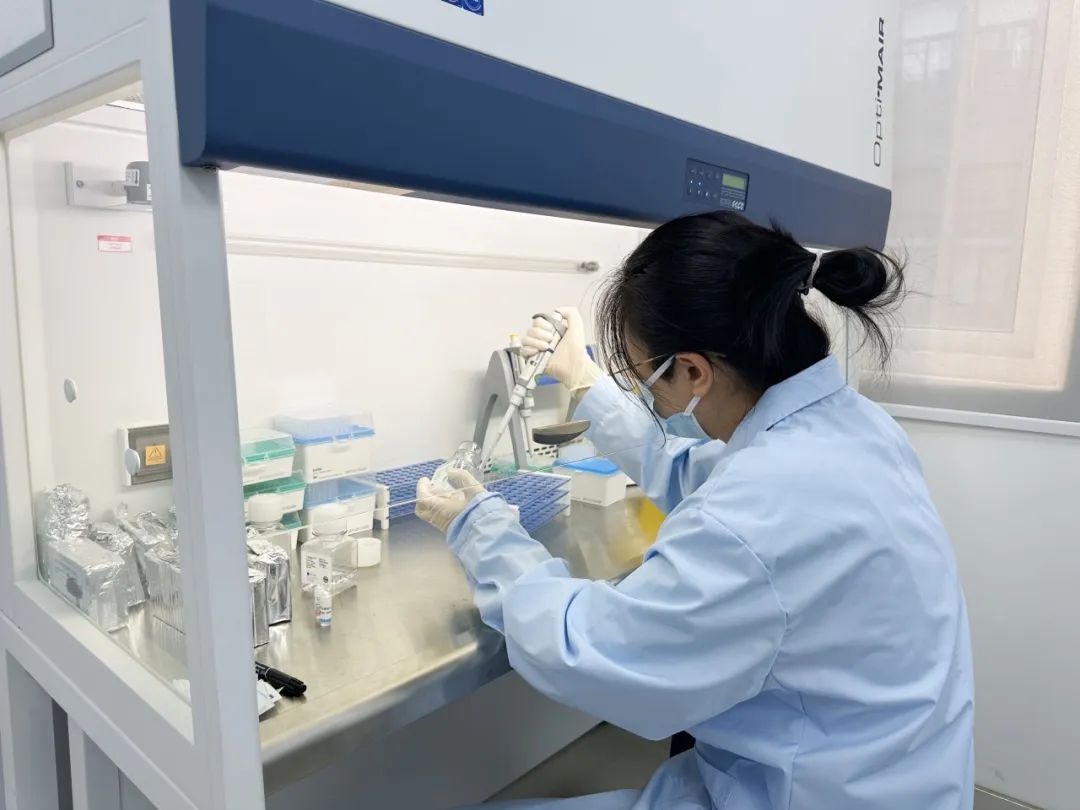 阿克庇斯顺利通过2024年度中国食品药品检定研究院“细菌内毒素动态浊度法能力验证”