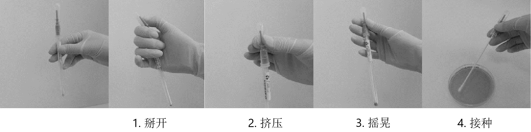 定性菌株的使用方法
