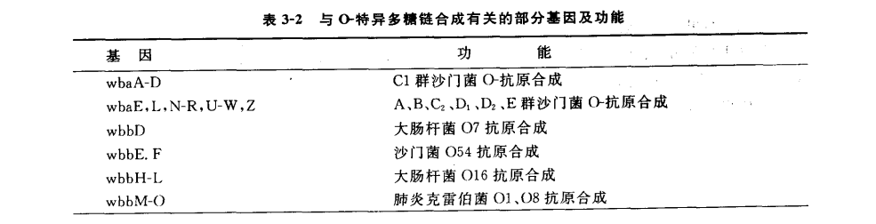 内毒素分子的跨膜转运和O-特异多糖链合成的遗传学研究