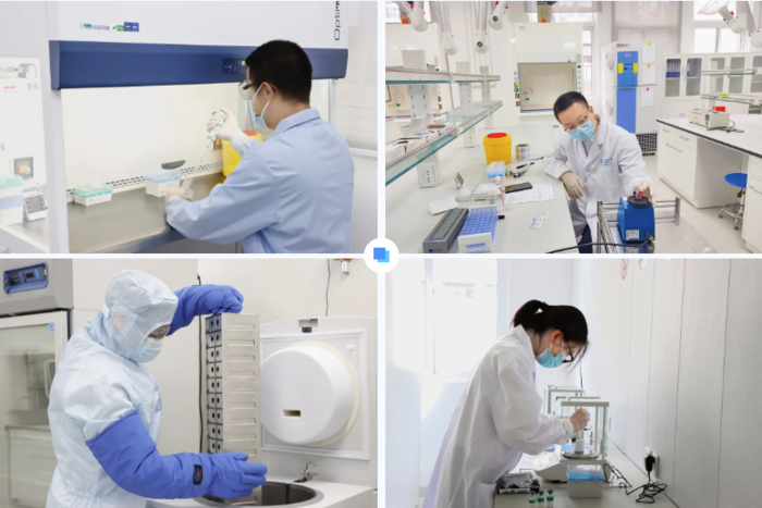 CRO研发实验室资深团队