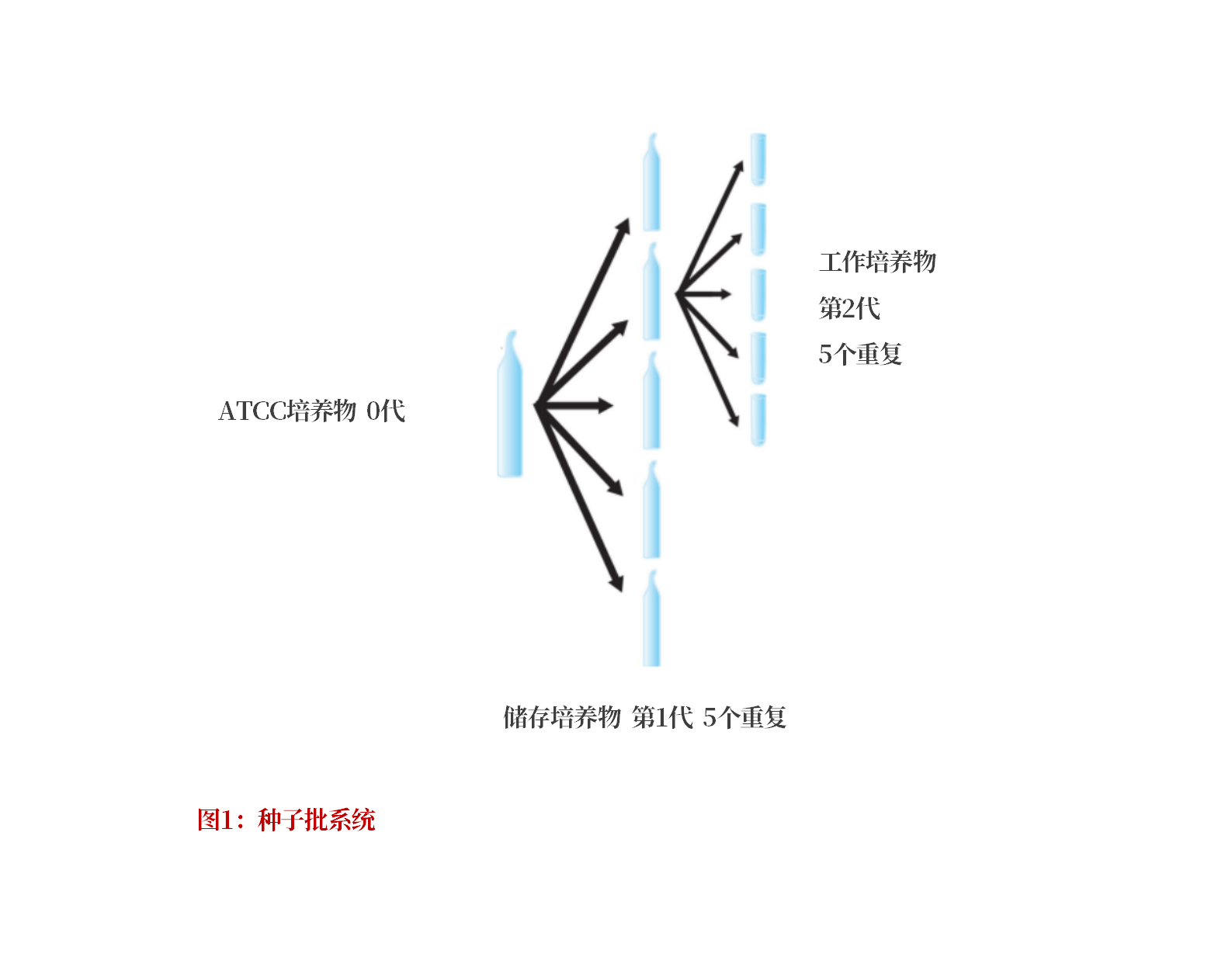文字文稿2_01(1).png