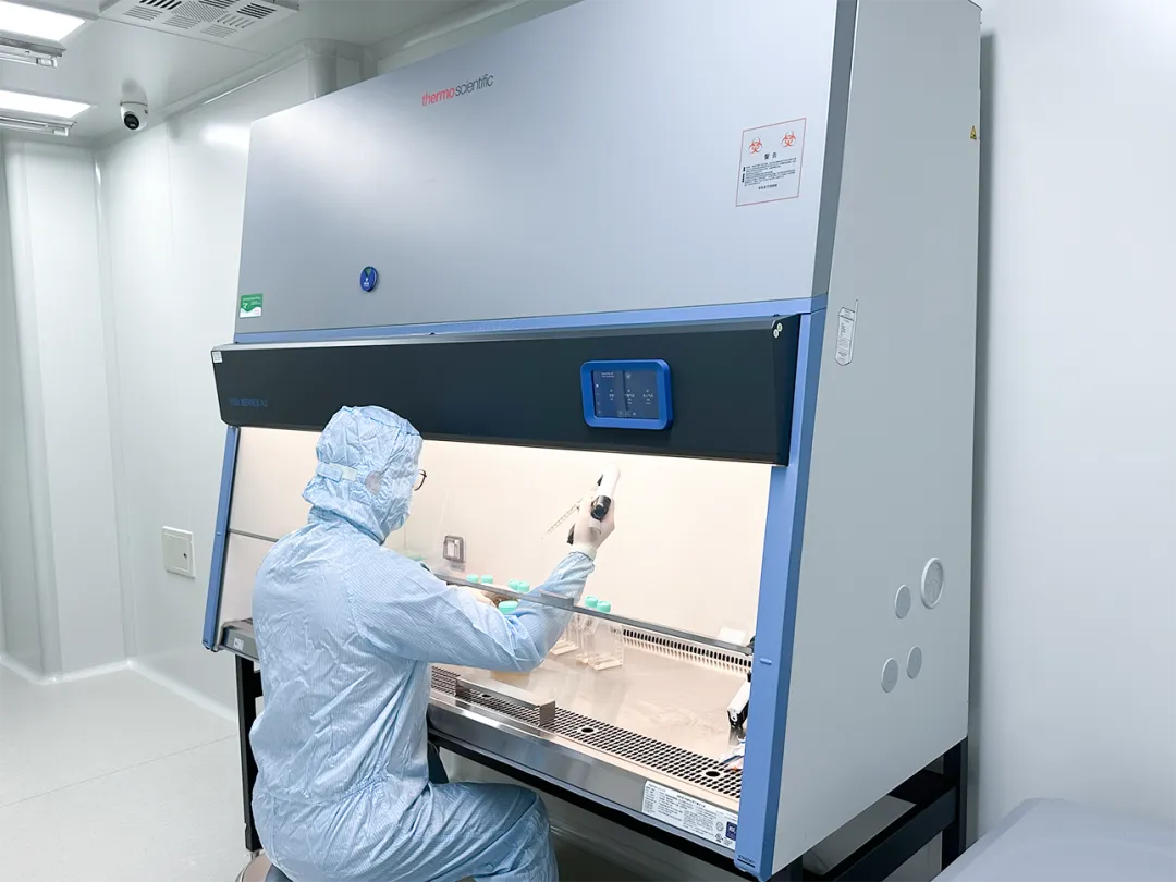 Thermo Fisher 1589-A II级A2生物安全柜